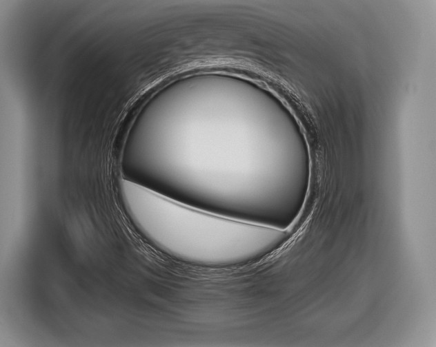 X0000116441497200912081342