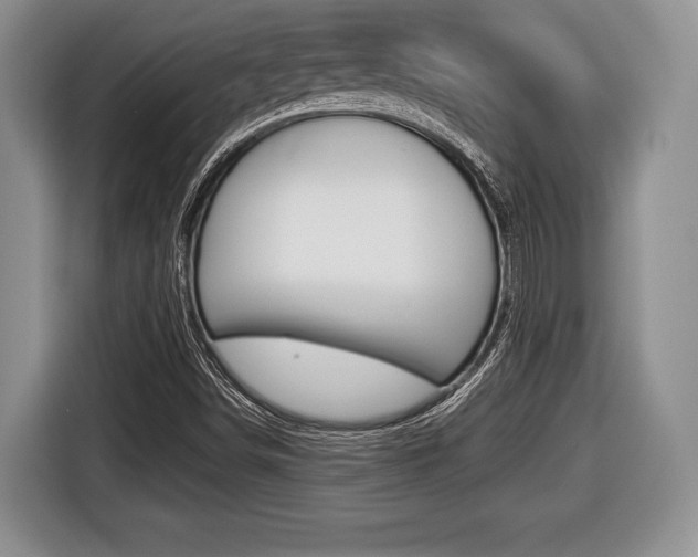 X0000116441498200912081342