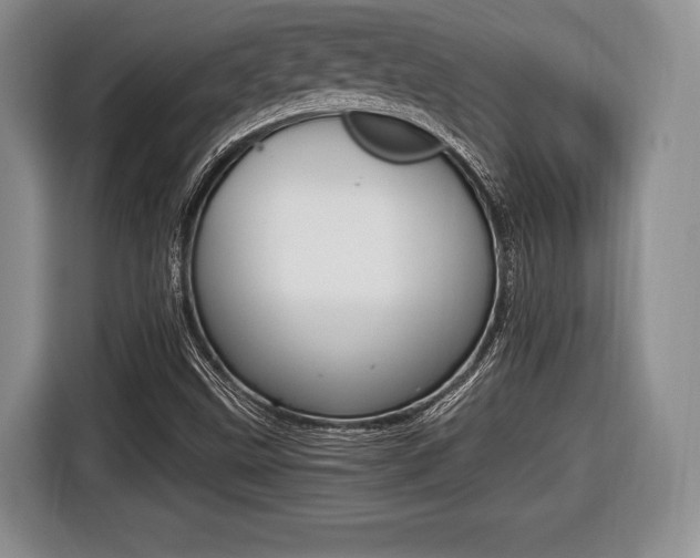 X0000116441499200912081342