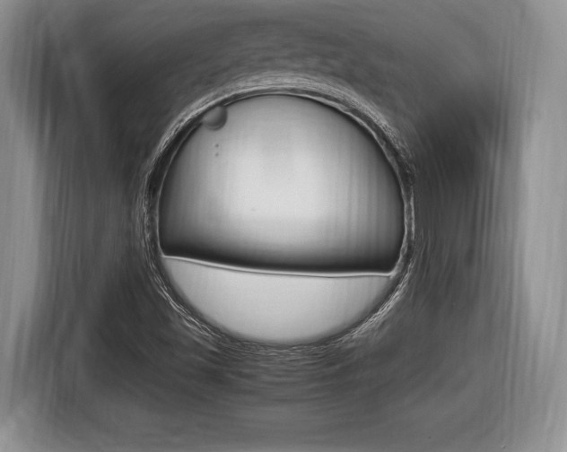 X0000116441501200912081342