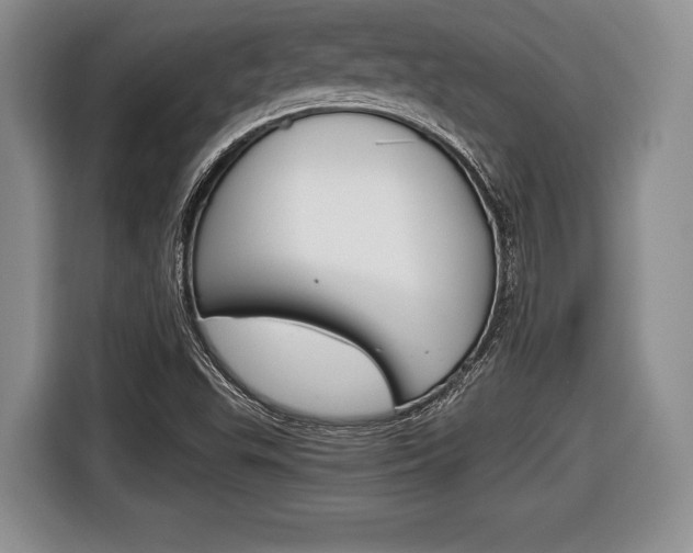 X0000116441503200912081342