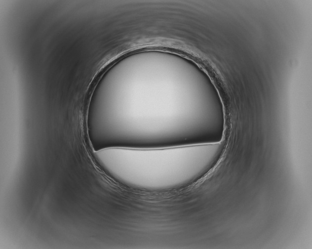 X0000116441505200912081342