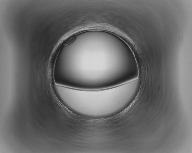 X0000116441506200912081342