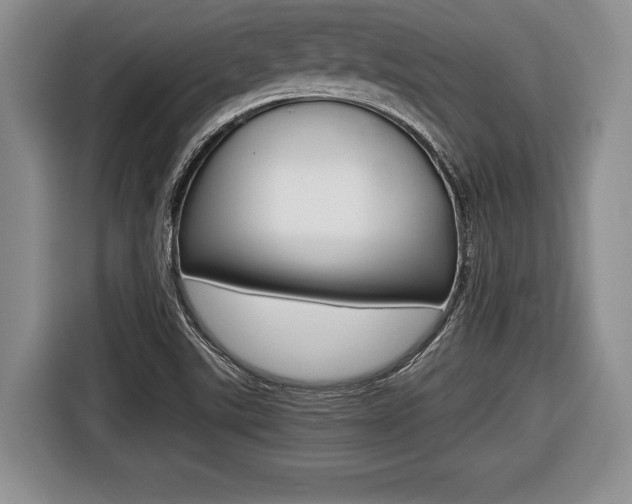 X0000116441507200912081342
