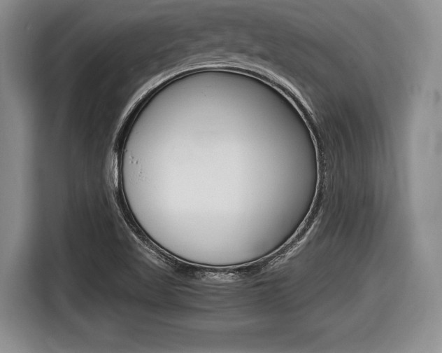 X0000116441509200912081342