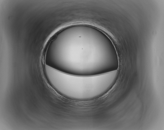 X0000116441510200912081342