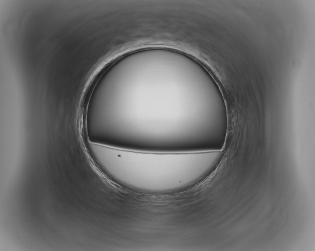 X0000116441511200912081342