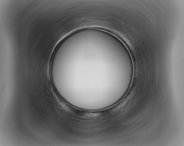 X0000116441513200912081342