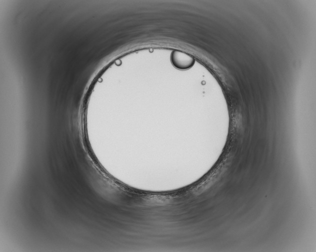 X0000116441514200912081342