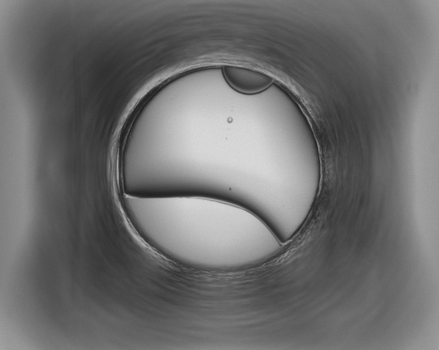 X0000116441515200912081342