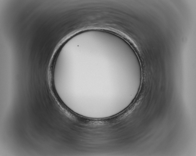 X0000116441517200912081342