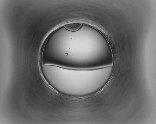 X0000116441518200912081342