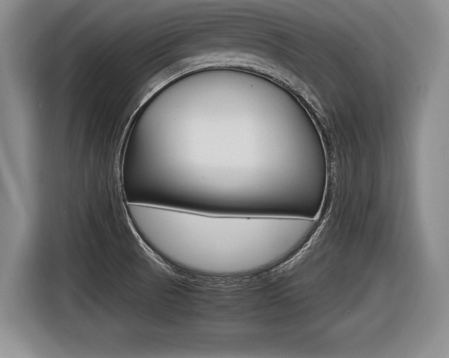 X0000116441521200912081342