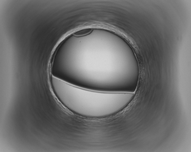 X0000116441522200912081342
