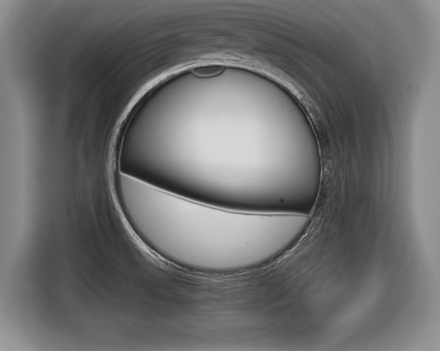 X0000116441523200912081342