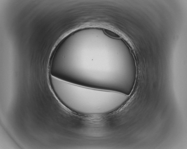 X0000116441525200912081342