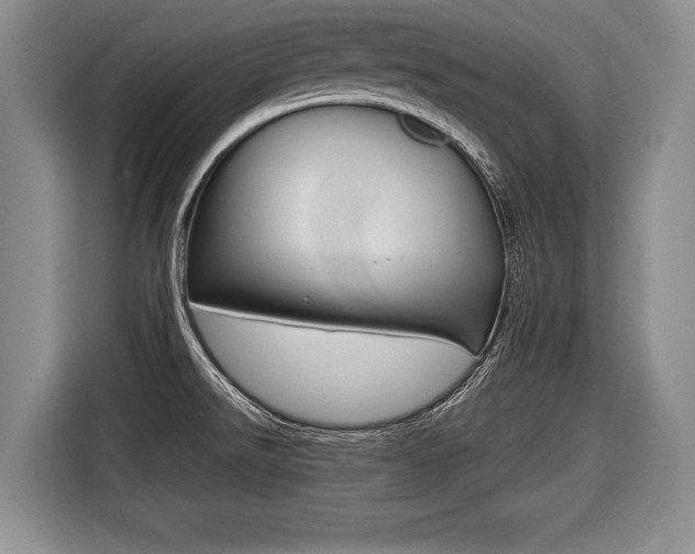 X0000116441526200912081342