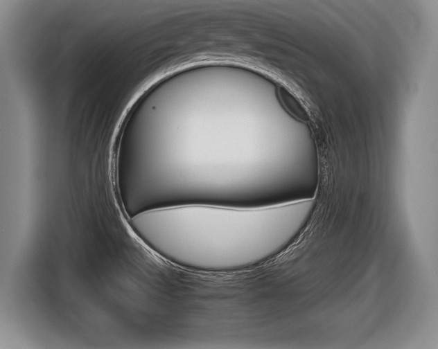 X0000116441527200912081342