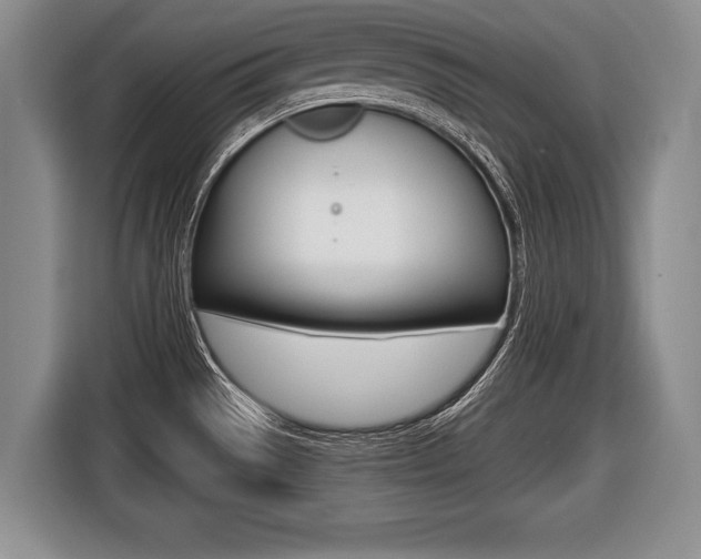 X0000116441529200912081342