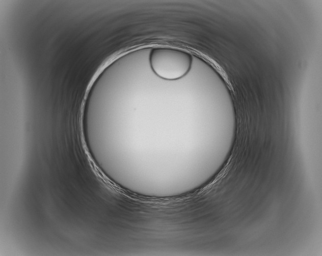 X0000116441530200912081342