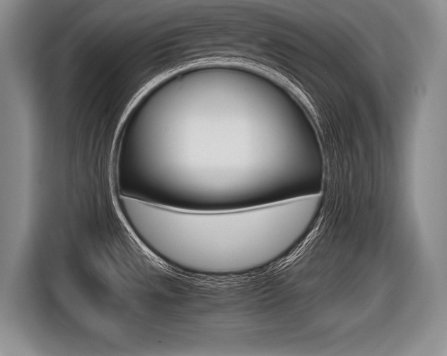 X0000116441533200912081343