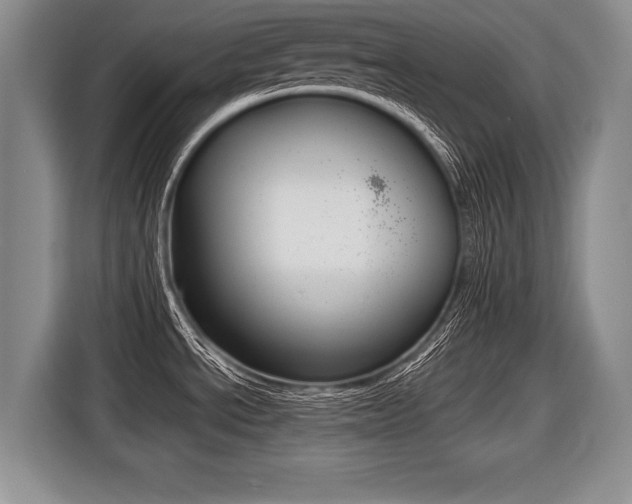 X0000116441534200912081343