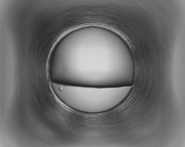 X0000116441535200912081343