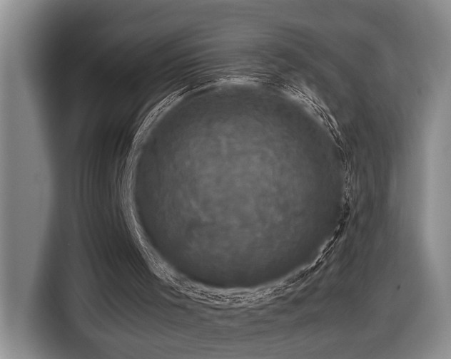 X0000116440001200912081606