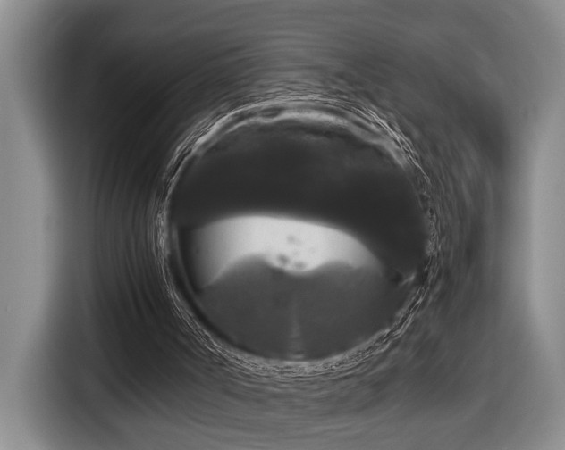 X0000116440002200912081606