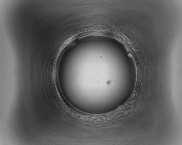 X0000116440003200912081606