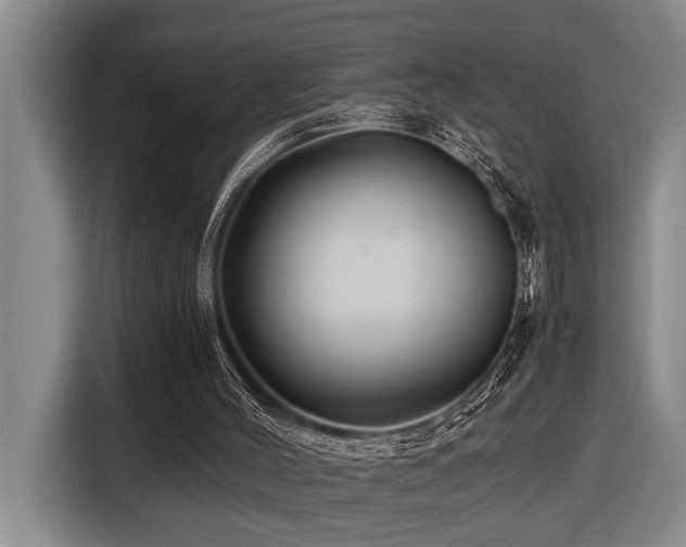 X0000116440004200912081606
