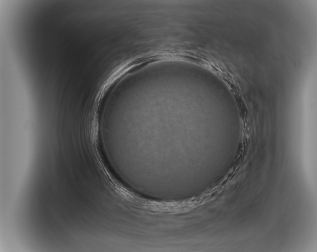 X0000116440005200912081606