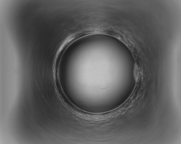 X0000116440006200912081606