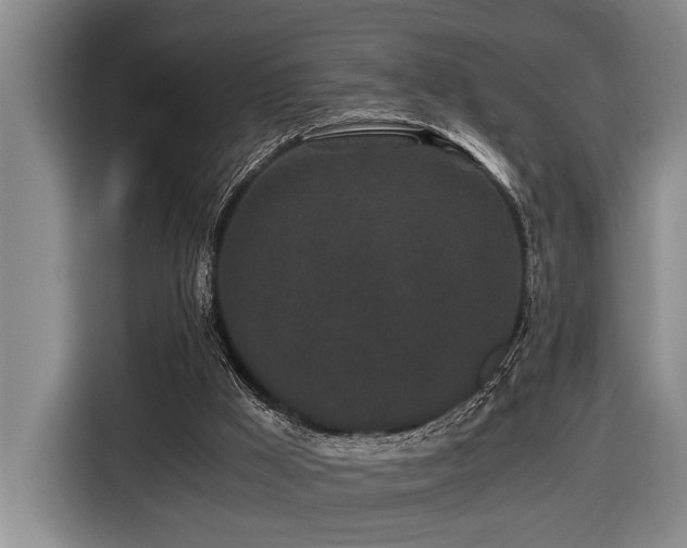X0000116440009200912081606