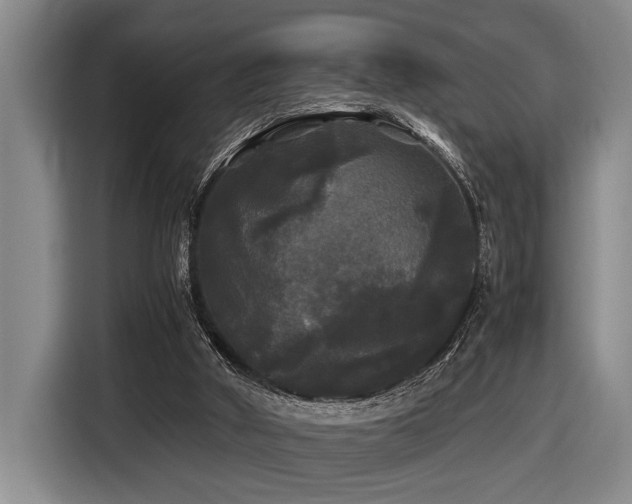 X0000116440010200912081606