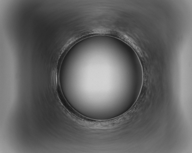 X0000116440011200912081606