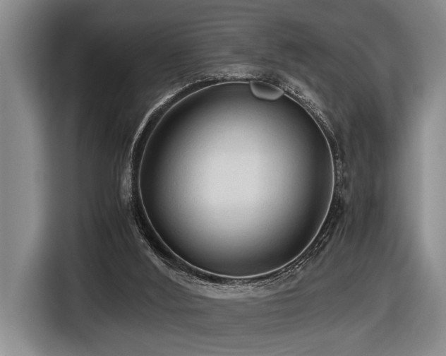 X0000116440012200912081606