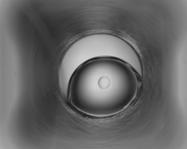 X0000116440013200912081606