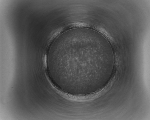 X0000116440014200912081606