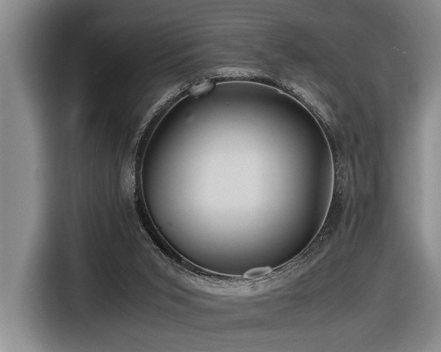 X0000116440015200912081606