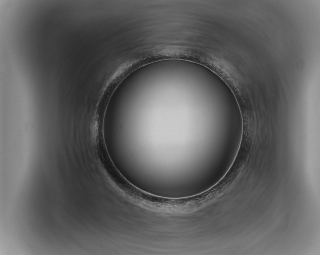 X0000116440016200912081606