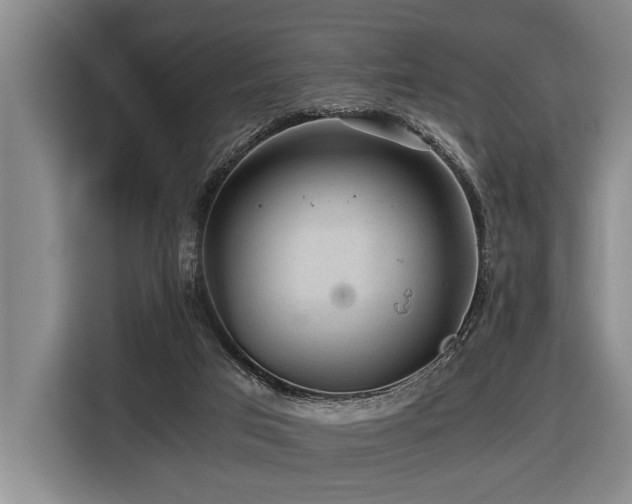 X0000116440017200912081606