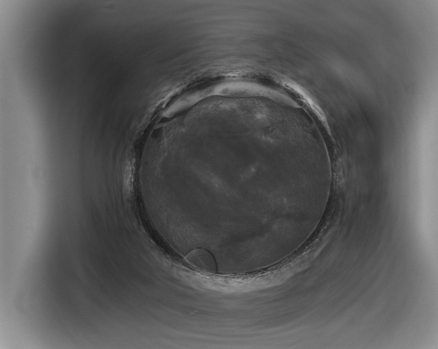 X0000116440018200912081606