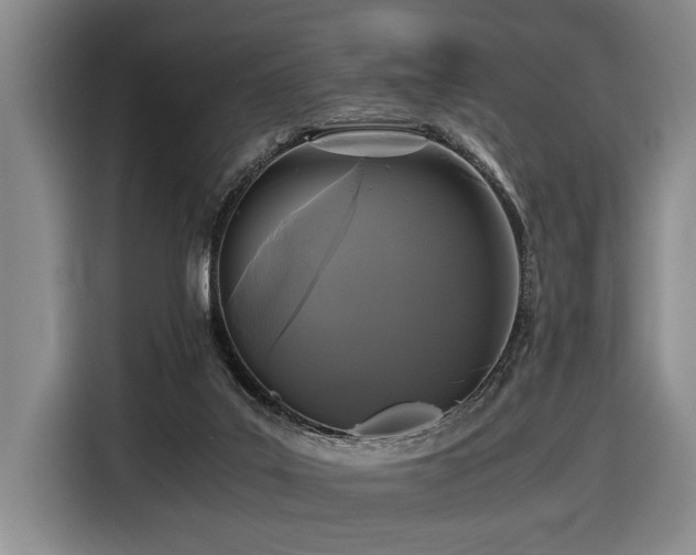 X0000116440019200912081606
