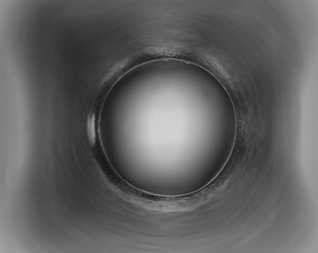 X0000116440020200912081606