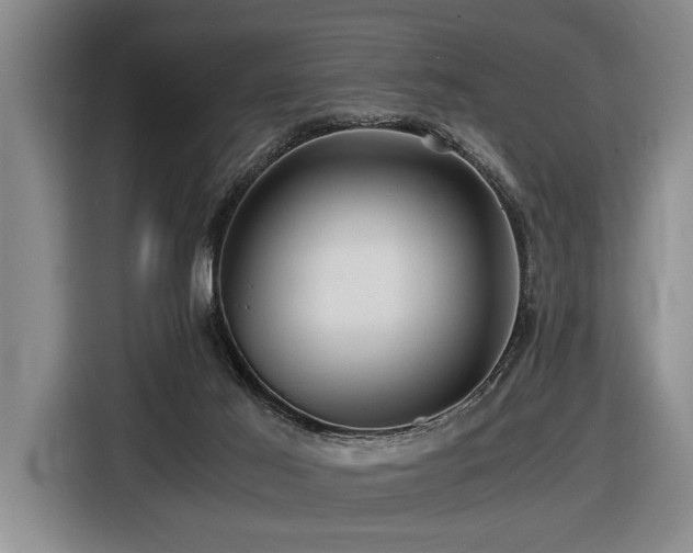 X0000116440021200912081606