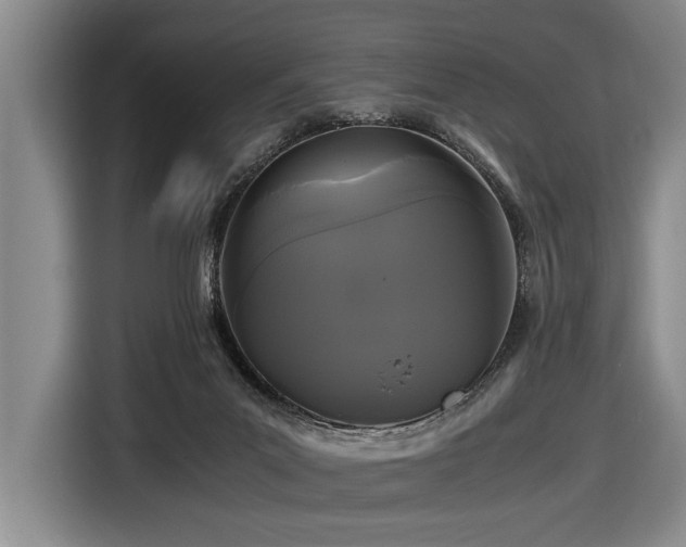 X0000116440023200912081606