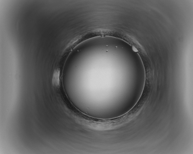 X0000116440024200912081606