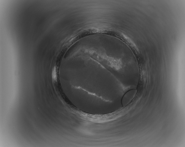 X0000116440026200912081606