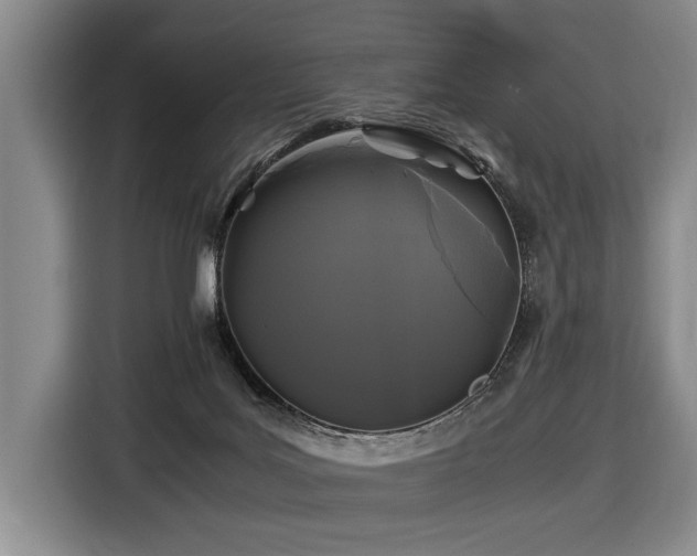 X0000116440027200912081606